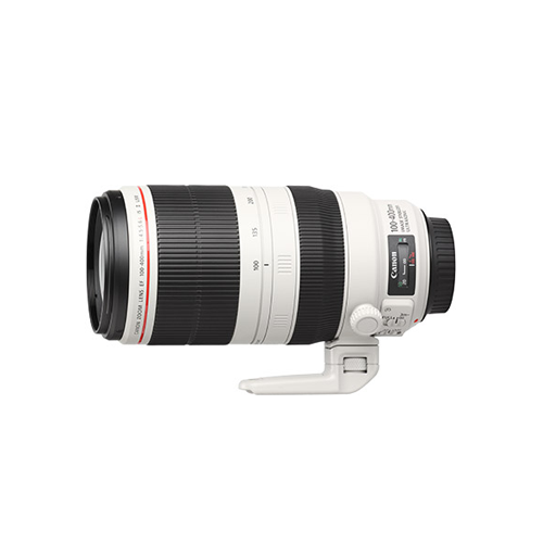 CANON 100-400mm IS II F4.5-5.6